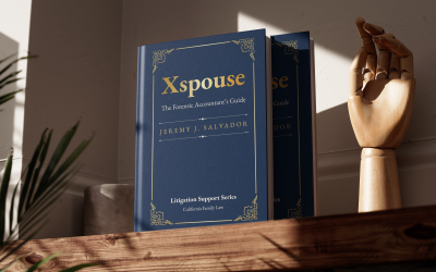 The Forensic Accountant’s Guide: How Xspouse is Transforming Family Law